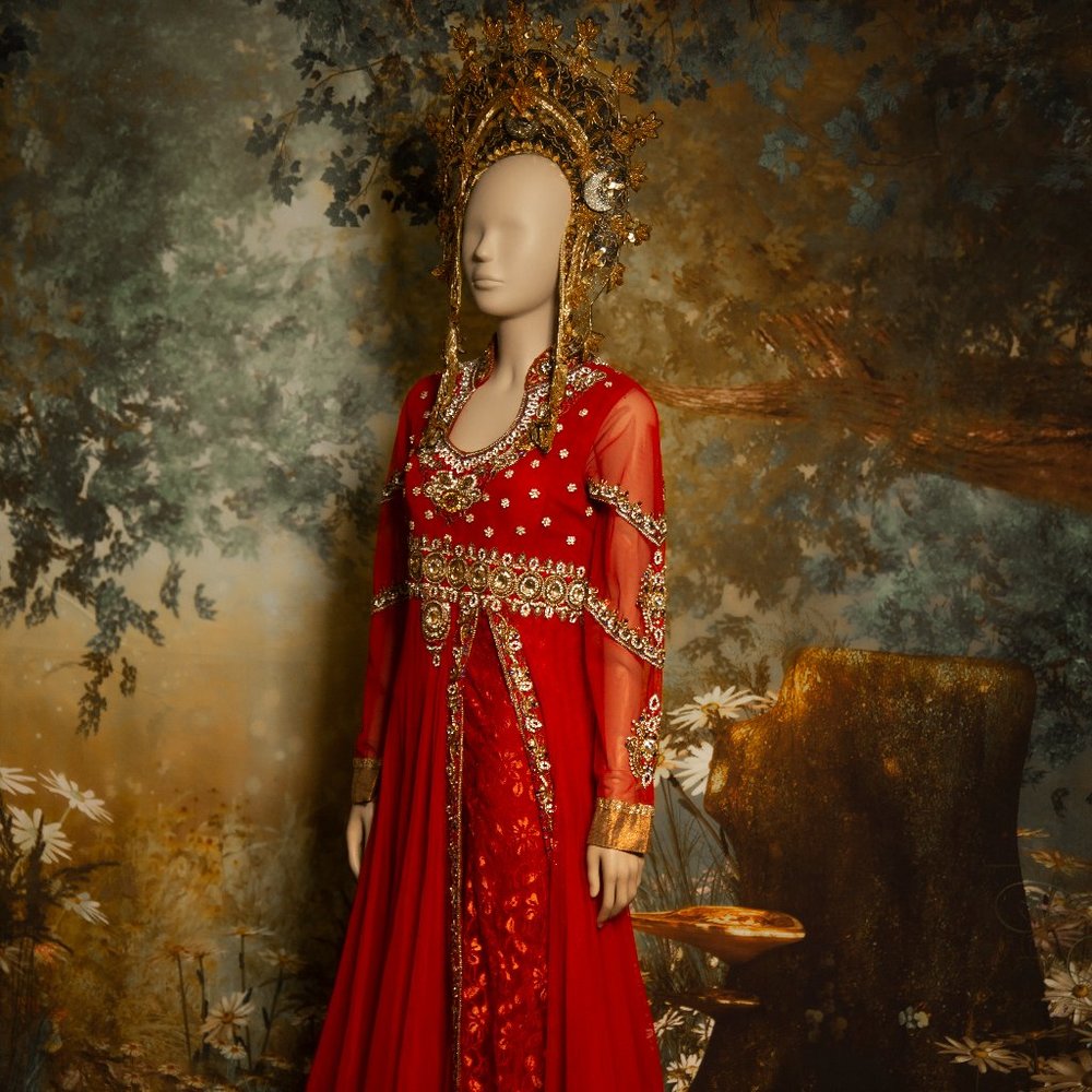 Hindi Indian south Asian wedding  fantasy red gold  dress encrusted with jewels